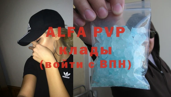 тгк Алзамай