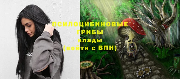 меф Алексин
