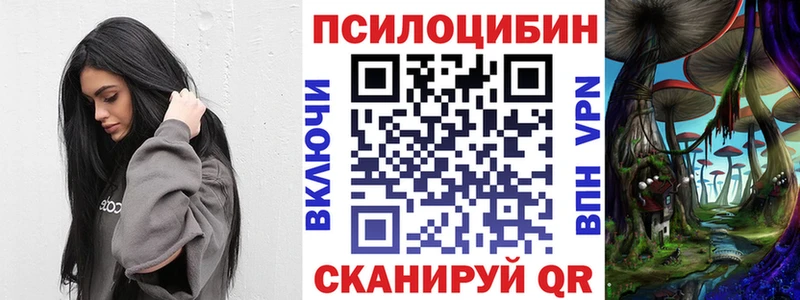 где продают наркотики  Кизел  Псилоцибиновые грибы GOLDEN TEACHER 
